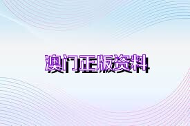 2023年澳门资料大全正版资料，公开、精选、解释、落实与展望